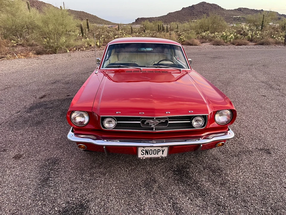 1965 Ford Mustang 1st Gen (1964.5-1966) - Image 6 of 31