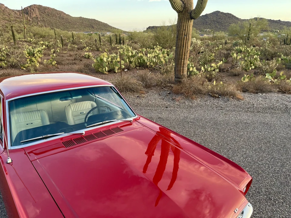 1965 Ford Mustang 1st Gen (1964.5-1966) - Image 25 of 31