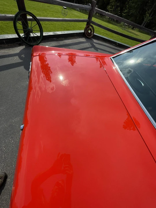 1965 Ford Mustang 1st Gen (1964.5-1966) - Image 23 of 31