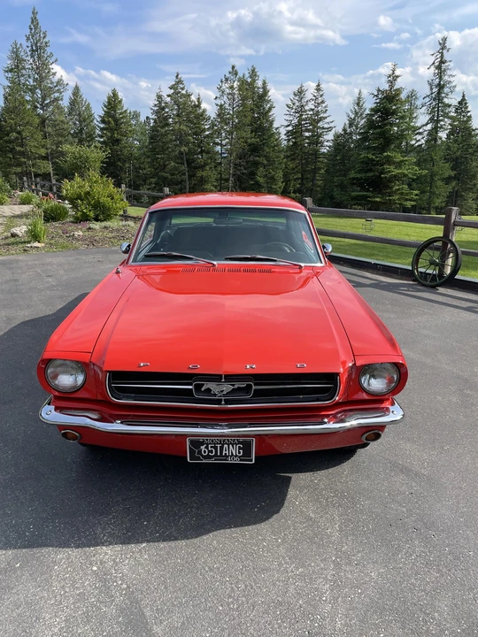1965 Ford Mustang 1st Gen (1964.5-1966) - Image 6 of 31