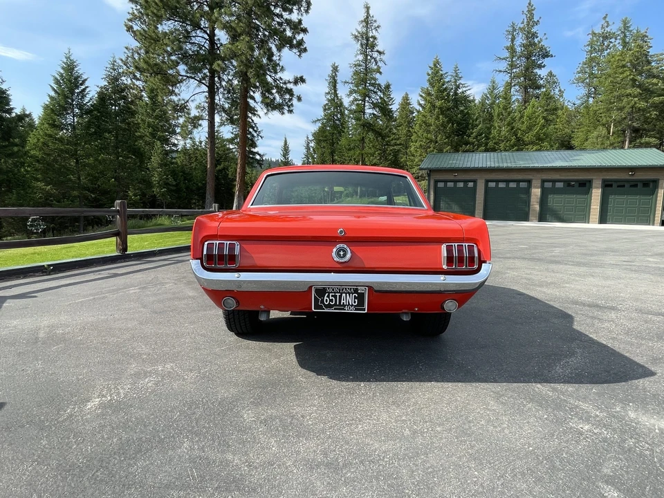 1965 Ford Mustang 1st Gen (1964.5-1966) - Image 10 of 31