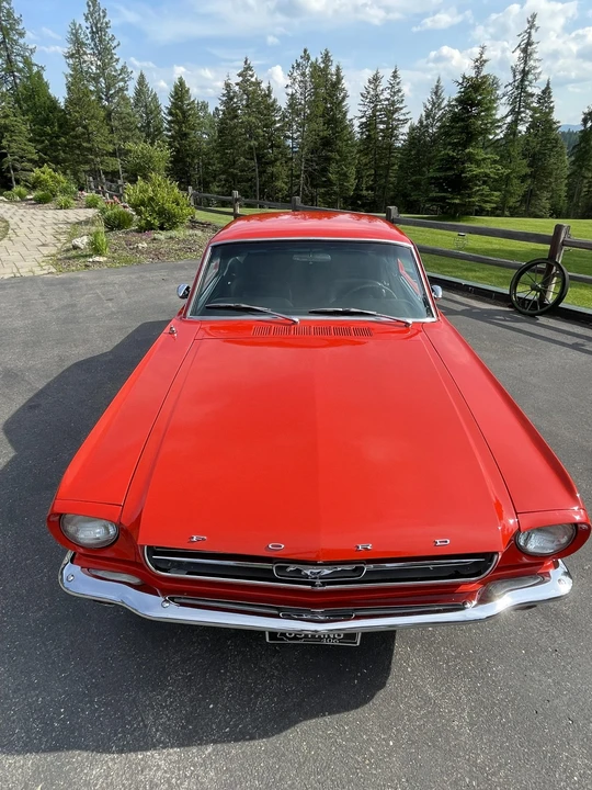 1965 Ford Mustang 1st Gen (1964.5-1966) - Image 15 of 31