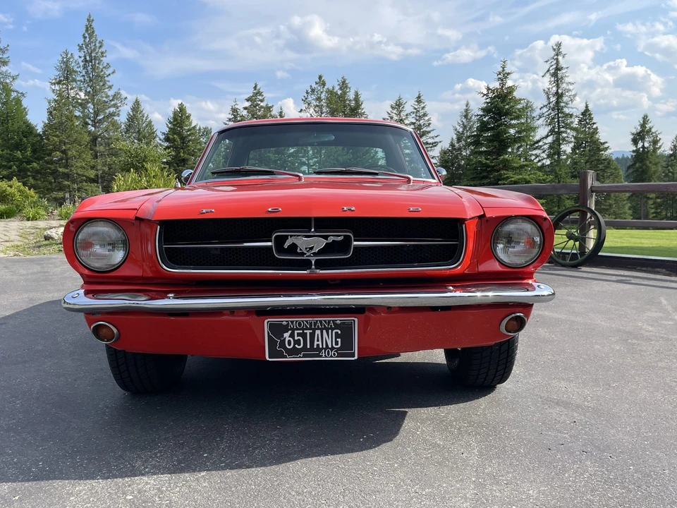 1965 Ford Mustang 1st Gen (1964.5-1966) - Image 5 of 31