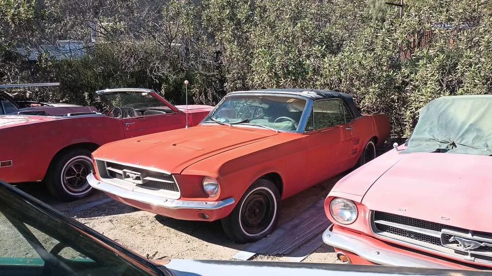 1965 Ford Mustang - Image 6 of 13