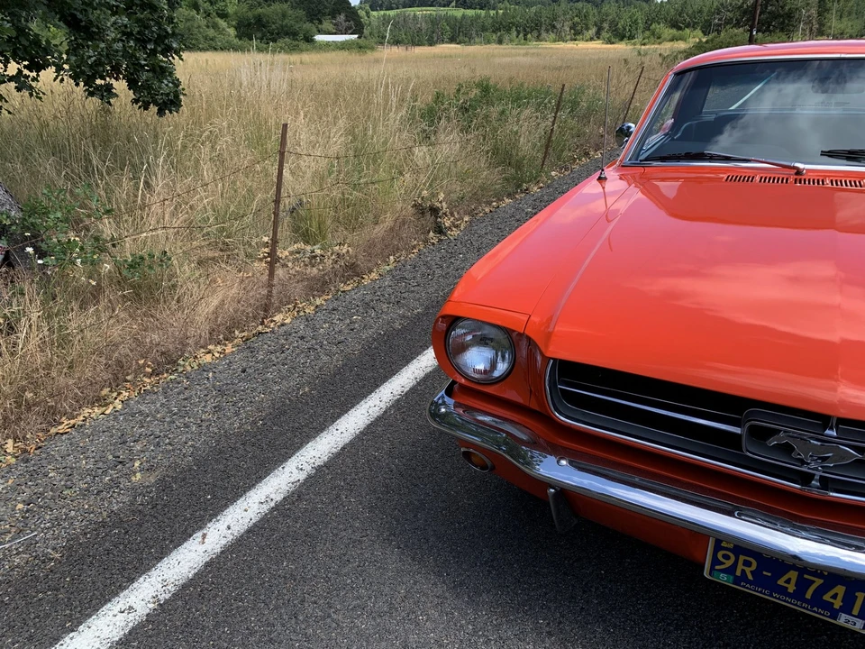 1965 Ford Mustang 1st Gen (1964.5-1966) - Image 31 of 31
