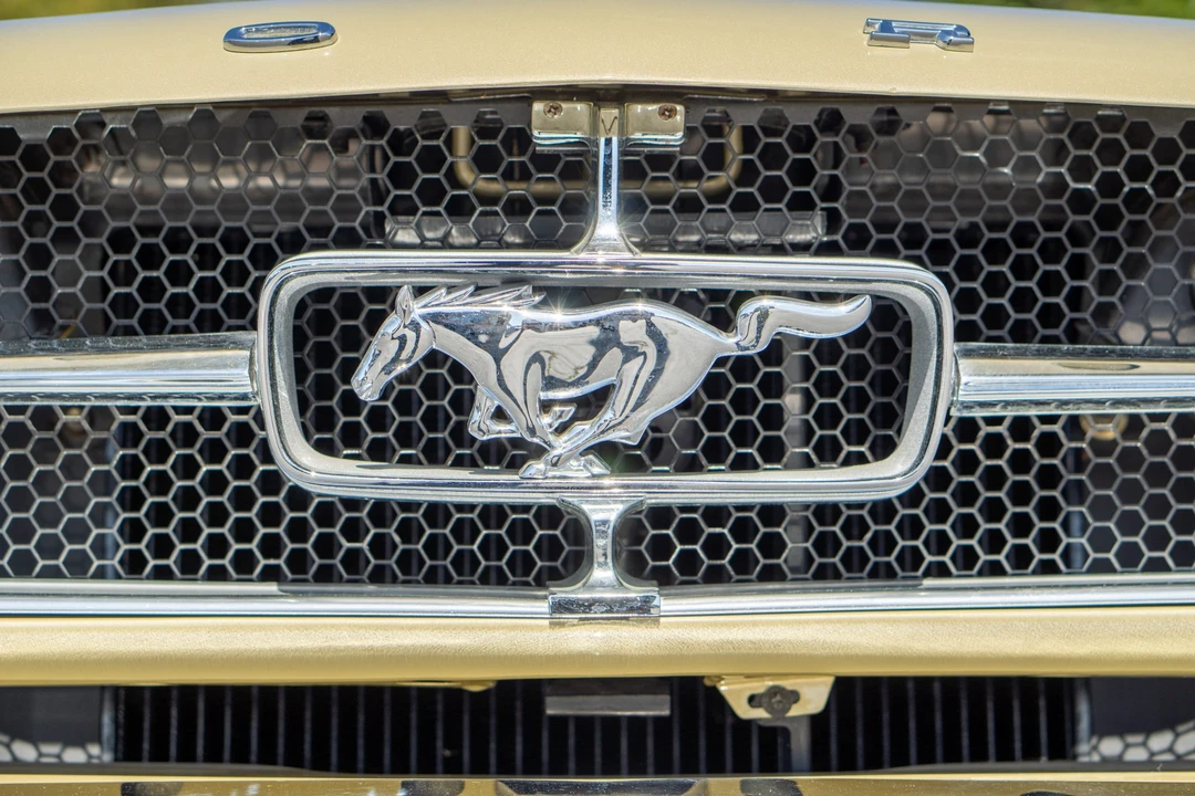 1965 Ford Mustang 1st Gen (1964.5-1966) - Image 18 of 31