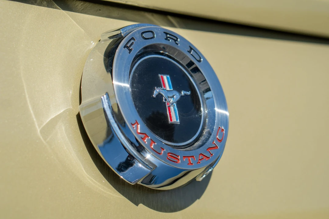 1965 Ford Mustang 1st Gen (1964.5-1966) - Image 31 of 31