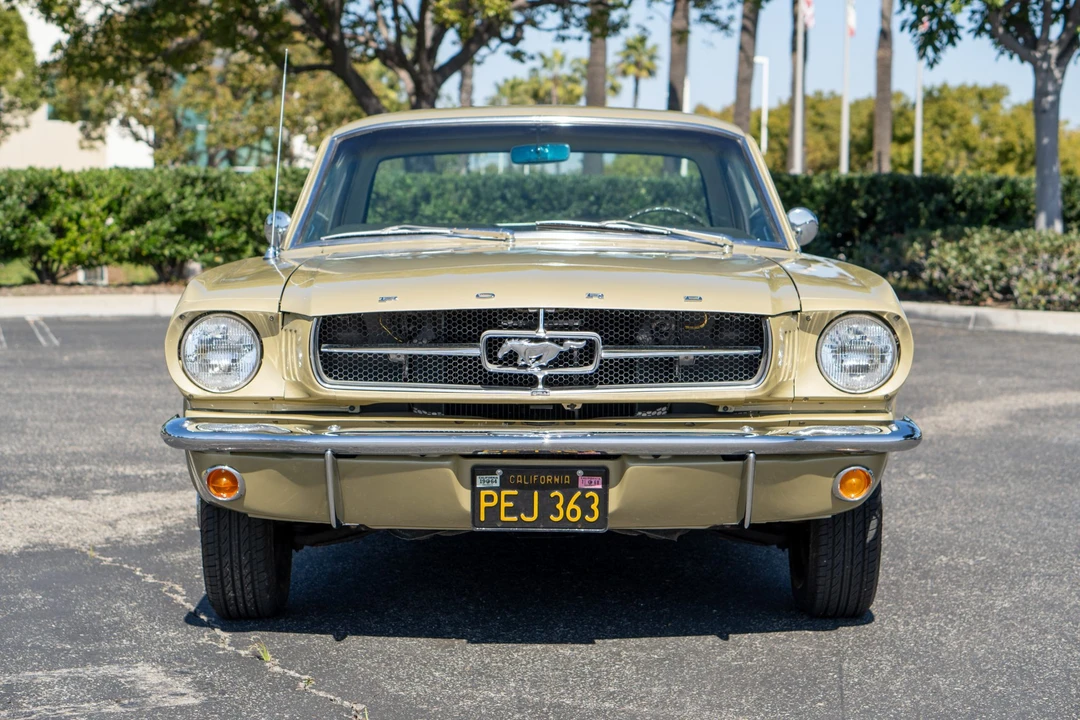 1965 Ford Mustang 1st Gen (1964.5-1966) - Image 9 of 31