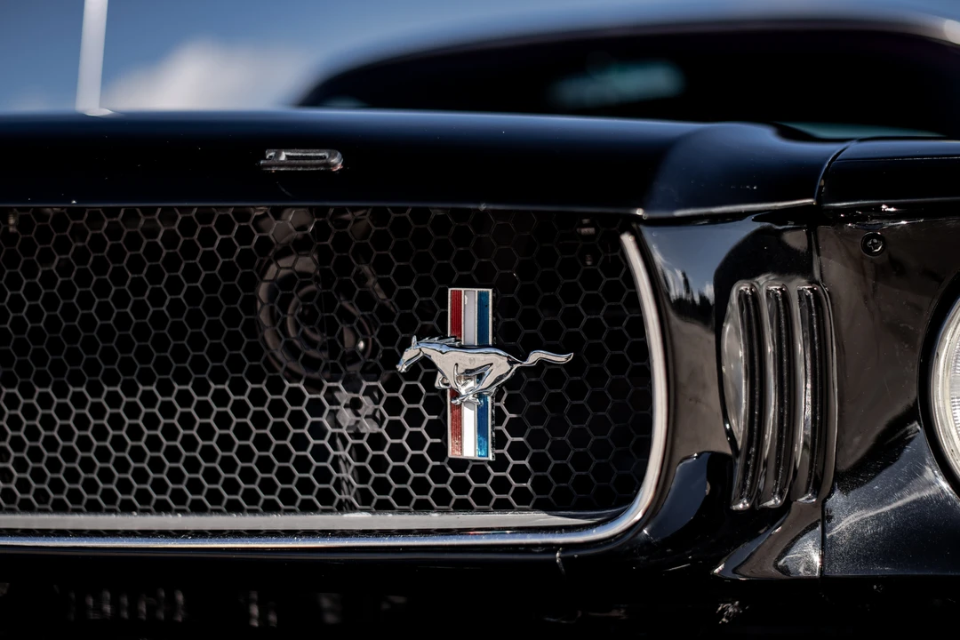 1965 Ford Mustang 1st Gen (1964.5-1966) - Image 29 of 31