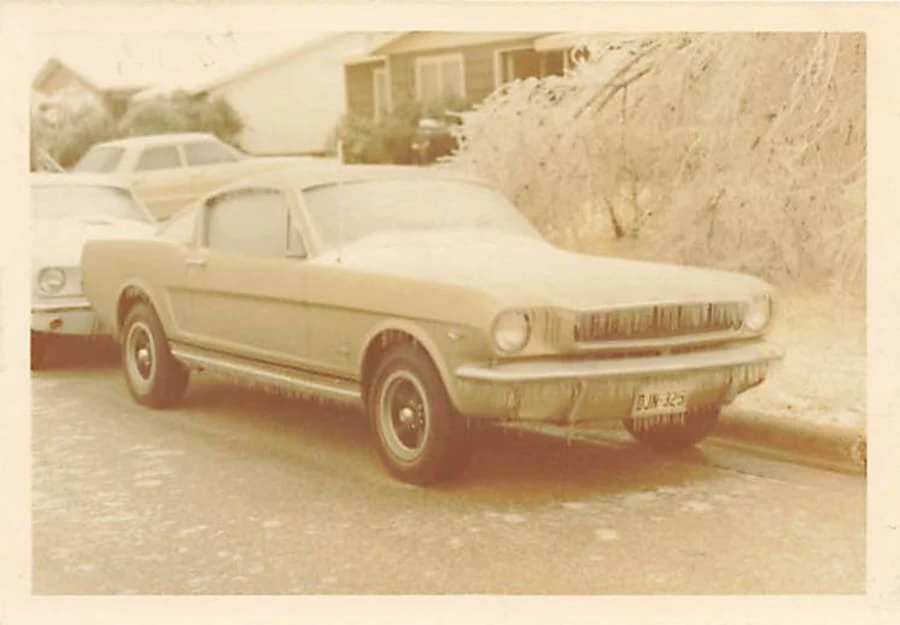 1965 Ford Mustang 1st Gen (1964.5-1966) - Image 21 of 22