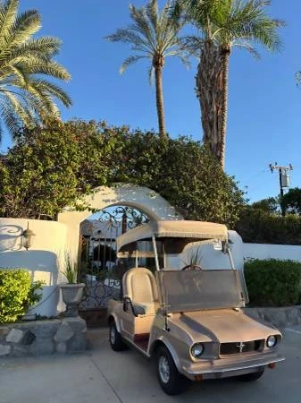 1965 Parts & Memorabilia Golf Carts - Image 7 of 9