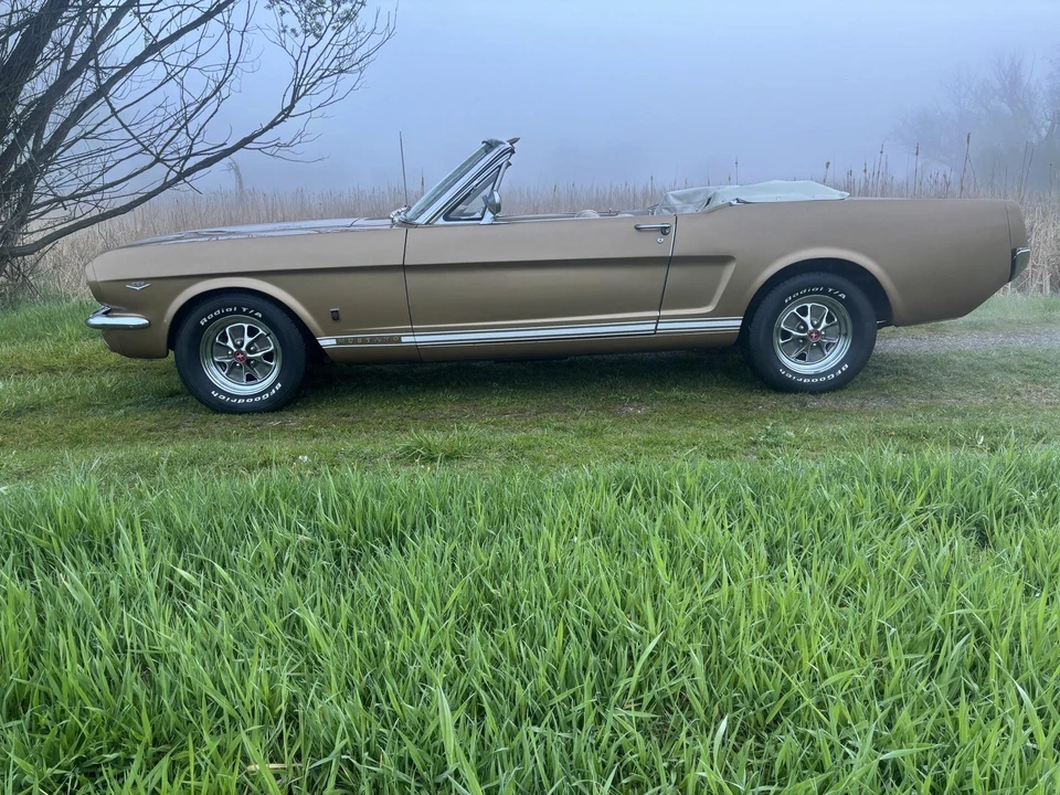 1965 Ford Mustang GT 1st Gen (1965-1968) - Image 18 of 31