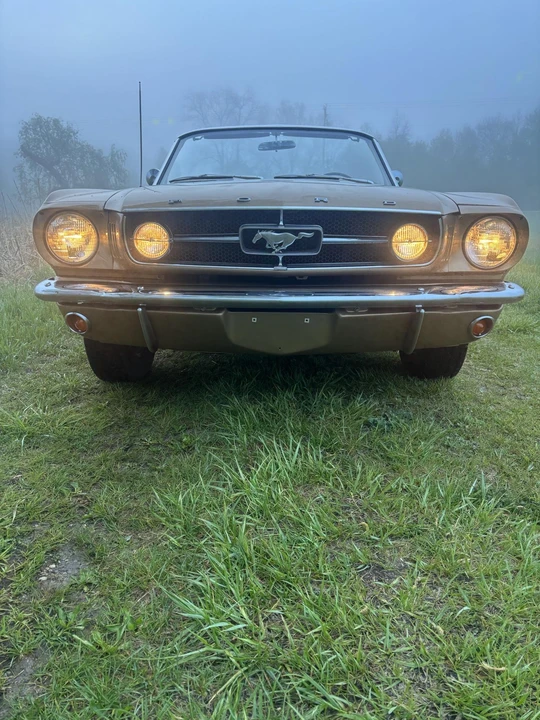 1965 Ford Mustang GT 1st Gen (1965-1968) - Image 15 of 31