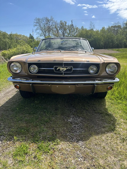1965 Ford Mustang GT 1st Gen (1965-1968) - Image 13 of 31