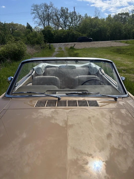 1965 Ford Mustang GT 1st Gen (1965-1968) - Image 31 of 31