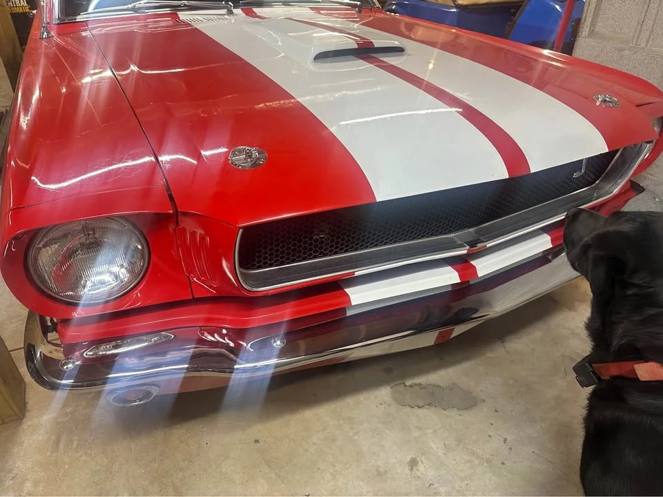 1965 Ford Mustang - Image 15 of 20