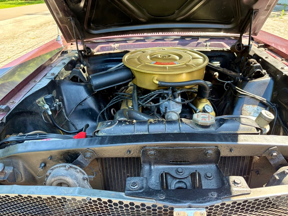 1965 Ford Mustang 1st Gen (1964.5-1966) - Image 6 of 25