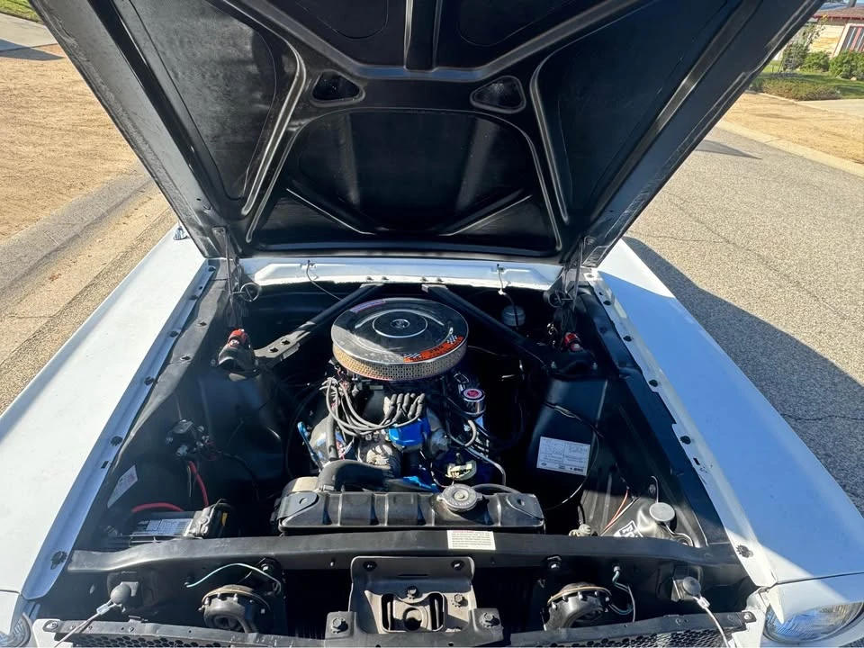 1965 Shelby GT350 - Image 8 of 9