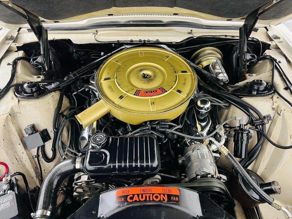 1965 Ford Thunderbird 4th Gen - Image 19 of 20