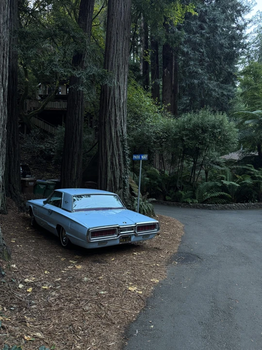 1965 Ford Thunderbird 4th Gen - Image 6 of 31