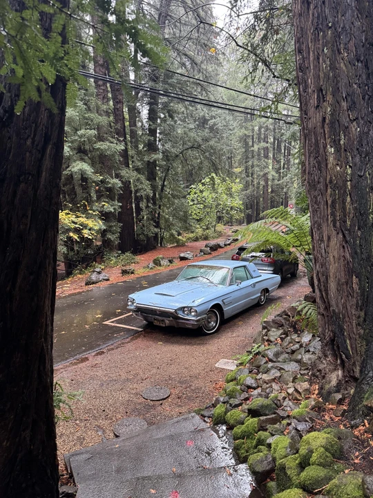 1965 Ford Thunderbird 4th Gen - Image 3 of 31