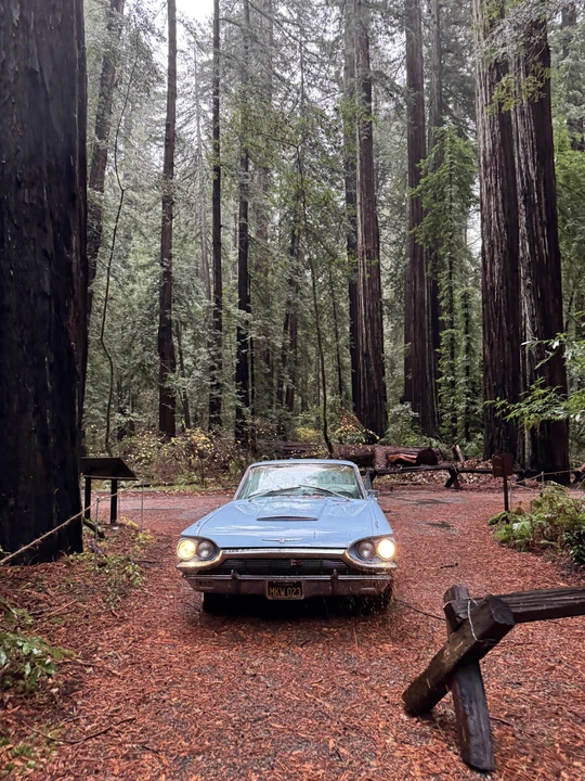 1965 Ford Thunderbird 4th Gen - Image 15 of 31