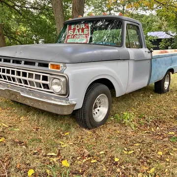 1965 Ford F100