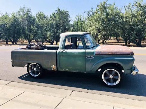 1965 Ford F100