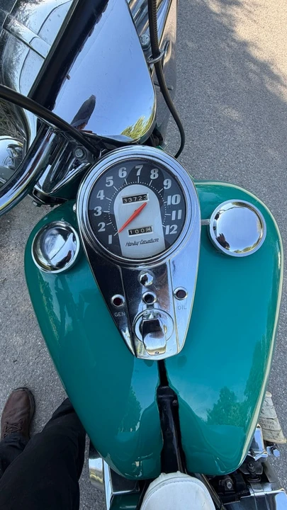 1965 Harley-Davidson Panhead - Image 8 of 11