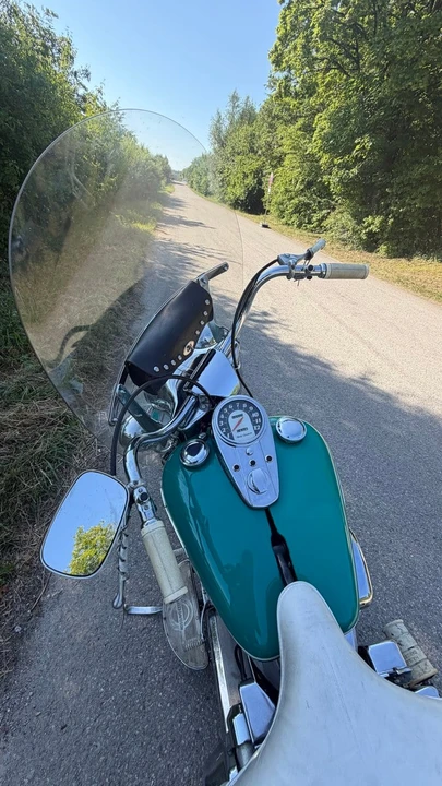 1965 Harley-Davidson Panhead - Image 9 of 11