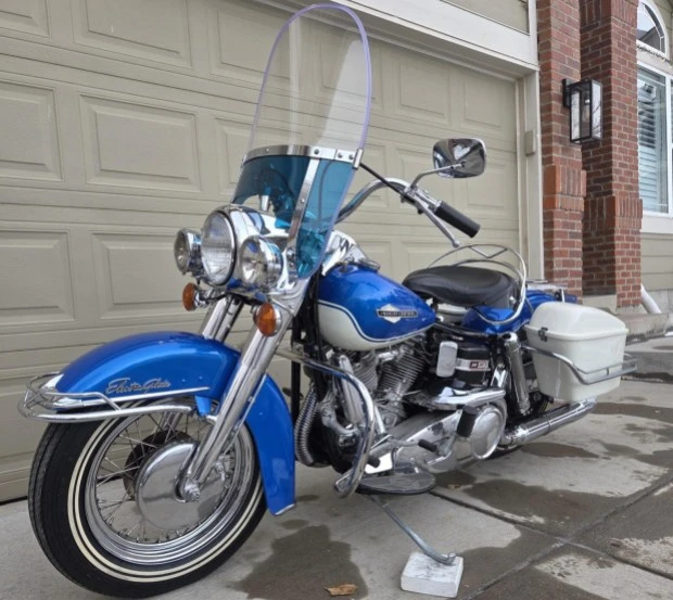 1965 Harley-Davidson Panhead - Image 3 of 6