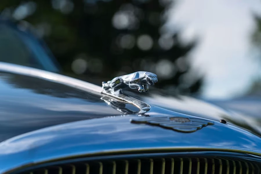 1965 Jaguar Mark X - Image 7 of 24