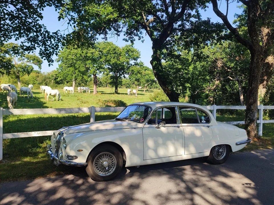 1965 Jaguar S-Type 1st Gen - Image 11 of 30
