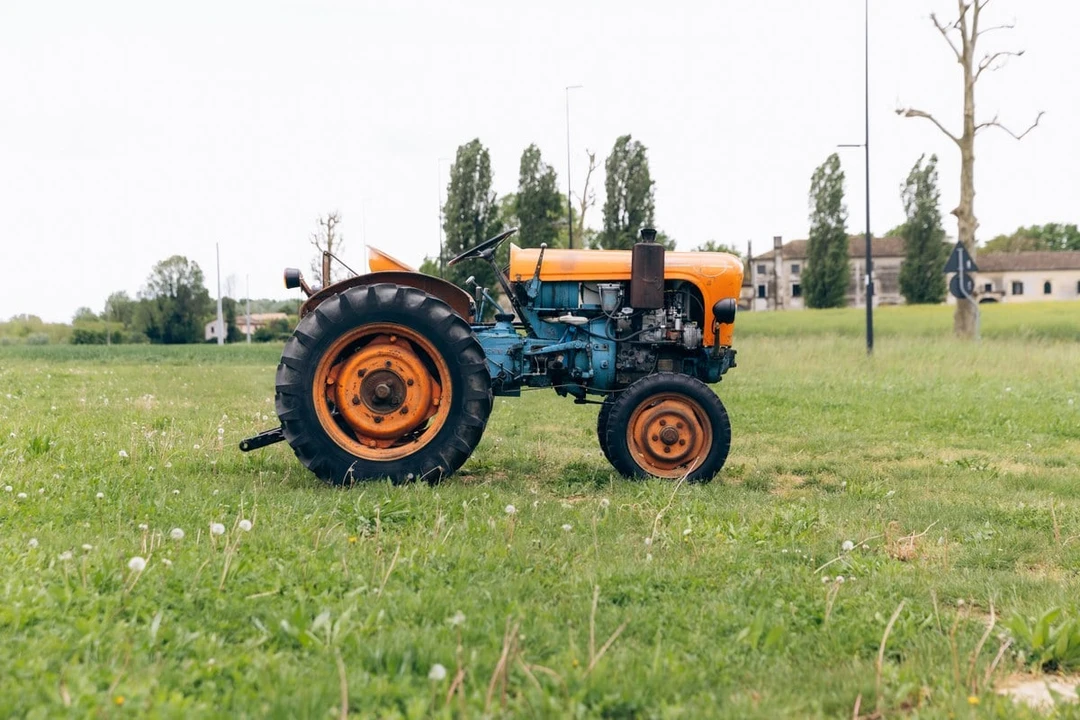 1965 Lamborghini Tractors - Image 13 of 30