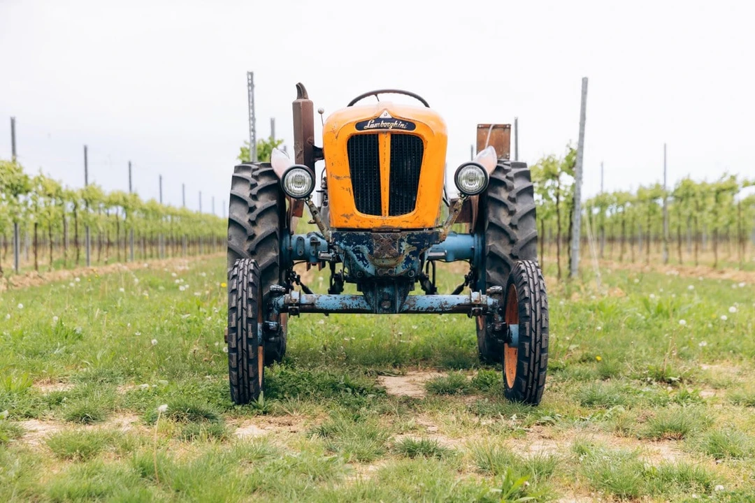 1965 Lamborghini Tractors - Image 6 of 30