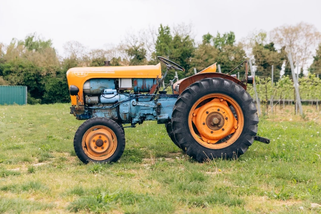 1965 Lamborghini Tractors - Image 16 of 30