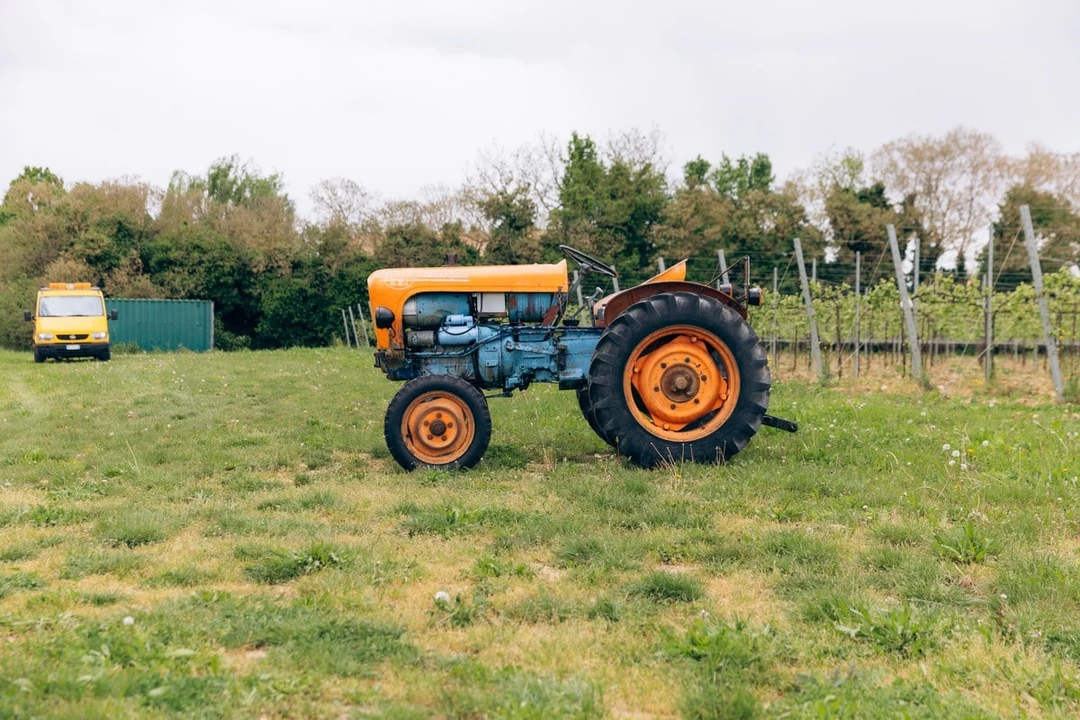 1965 Lamborghini Tractors - Image 15 of 30