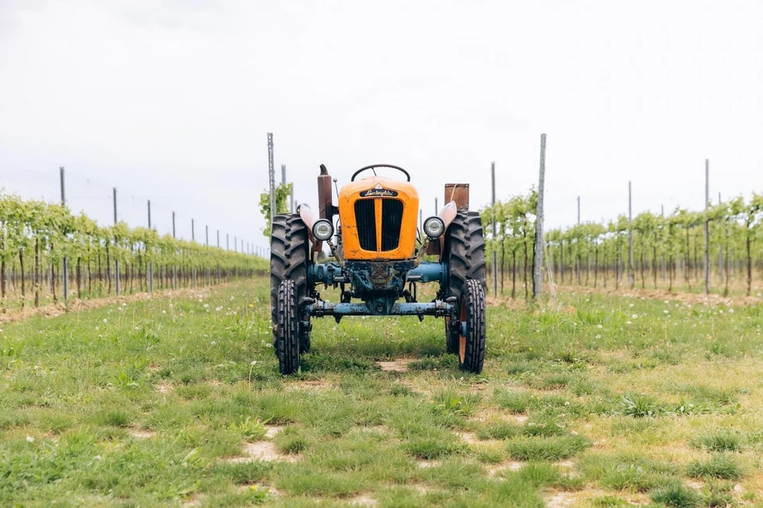 1965 Lamborghini Tractors - Image 5 of 30