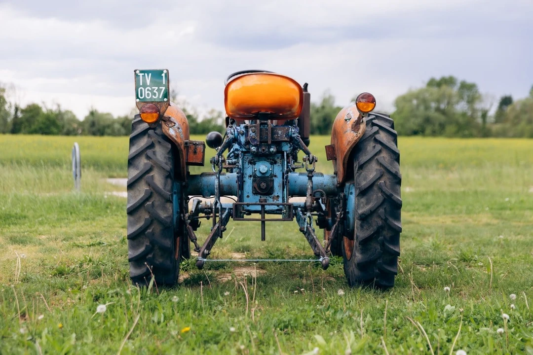 1965 Lamborghini Tractors - Image 8 of 30