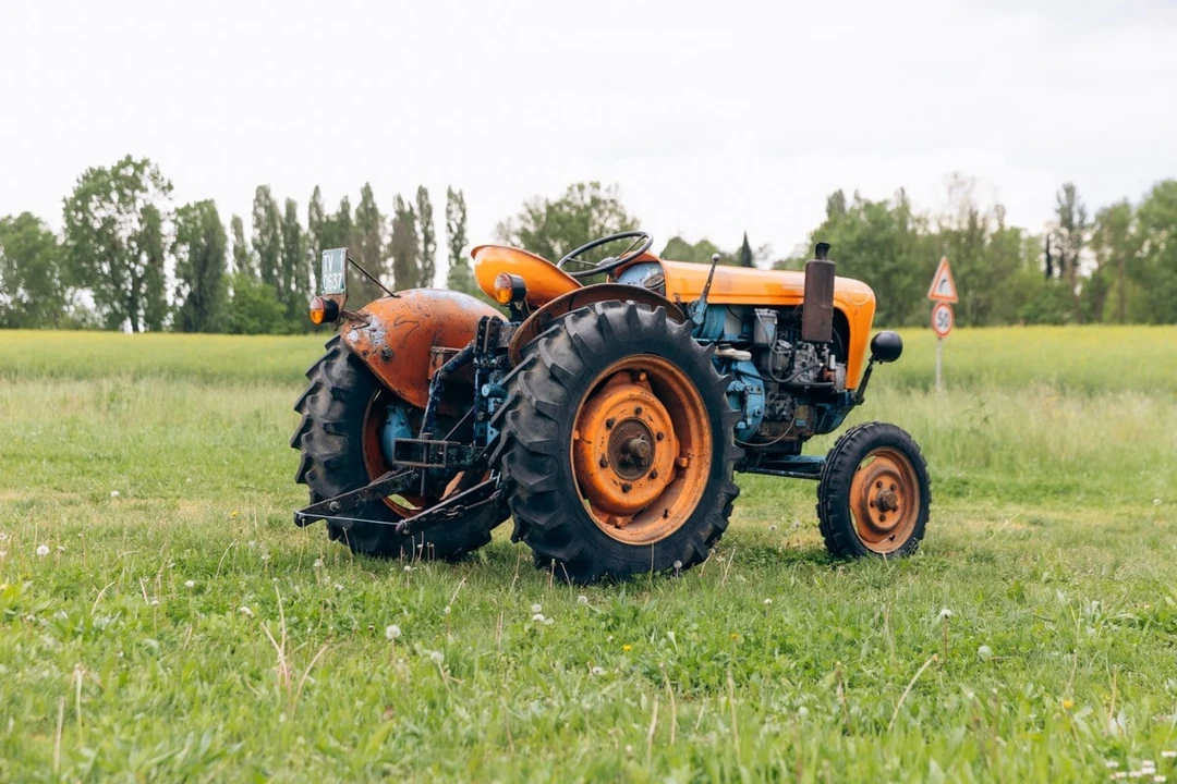1965 Lamborghini Tractors - Image 11 of 30