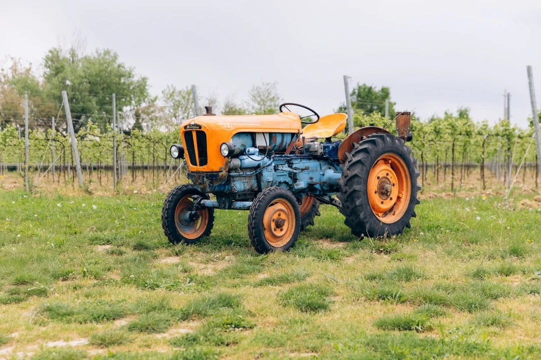 1965 Lamborghini Tractors - Image 3 of 30