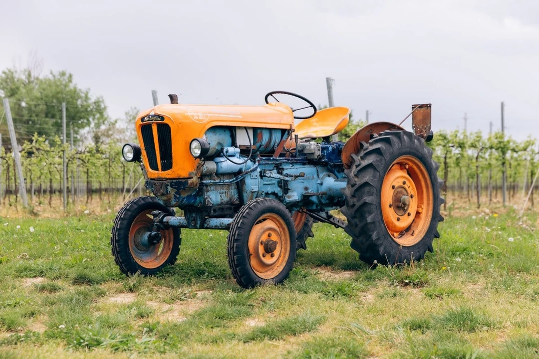 1965 Lamborghini Tractors - Image 4 of 30