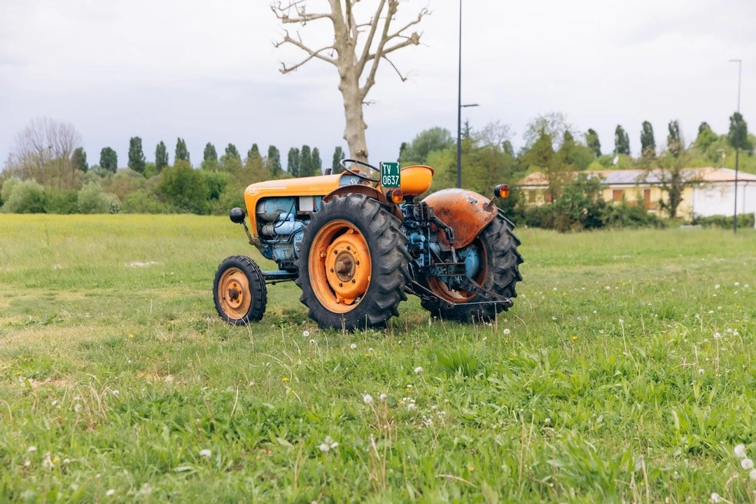 1965 Lamborghini Tractors - Image 9 of 30