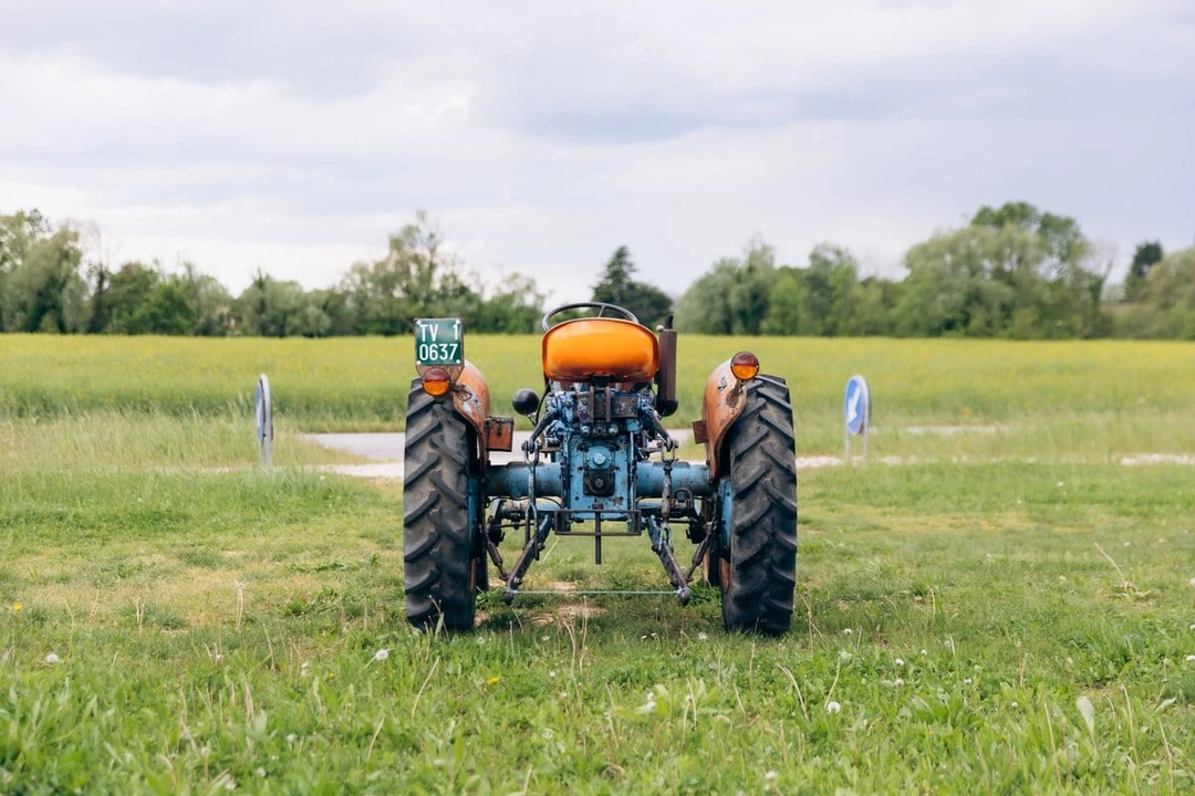 1965 Lamborghini Tractors - Image 7 of 30