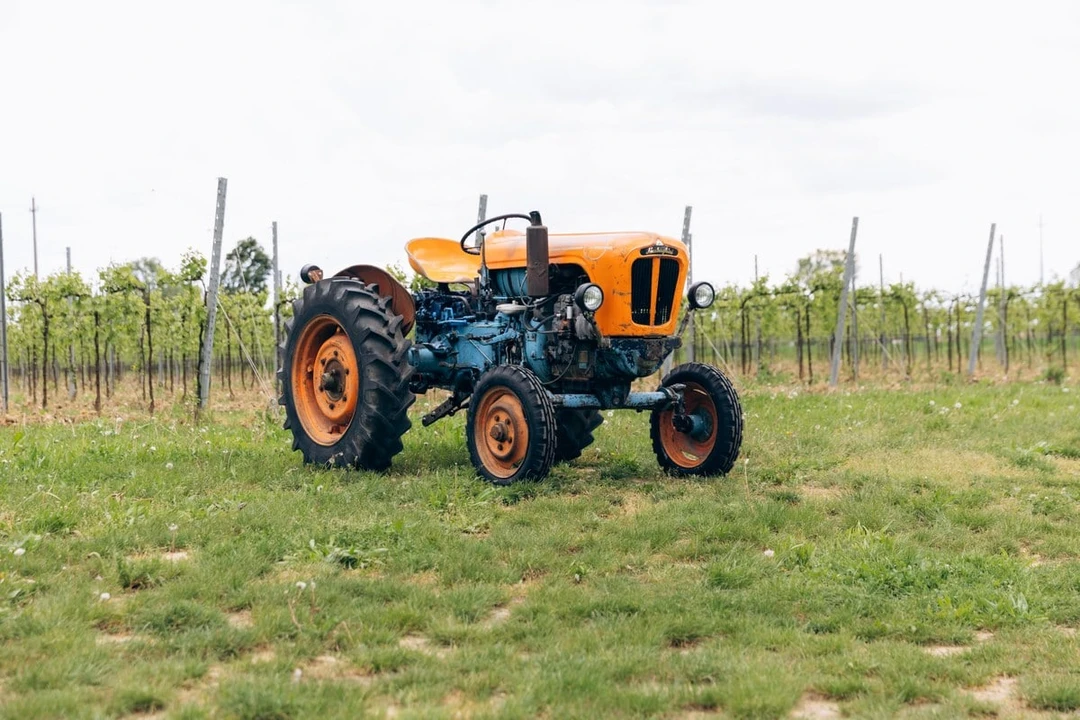 1965 Lamborghini Tractors - Image 2 of 30