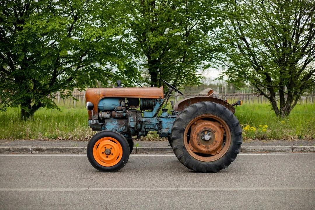 1965 Lamborghini Tractors - Image 10 of 30