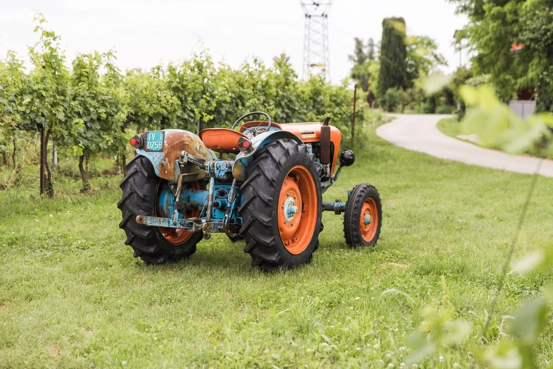 1965 Lamborghini Tractors - Image 8 of 30