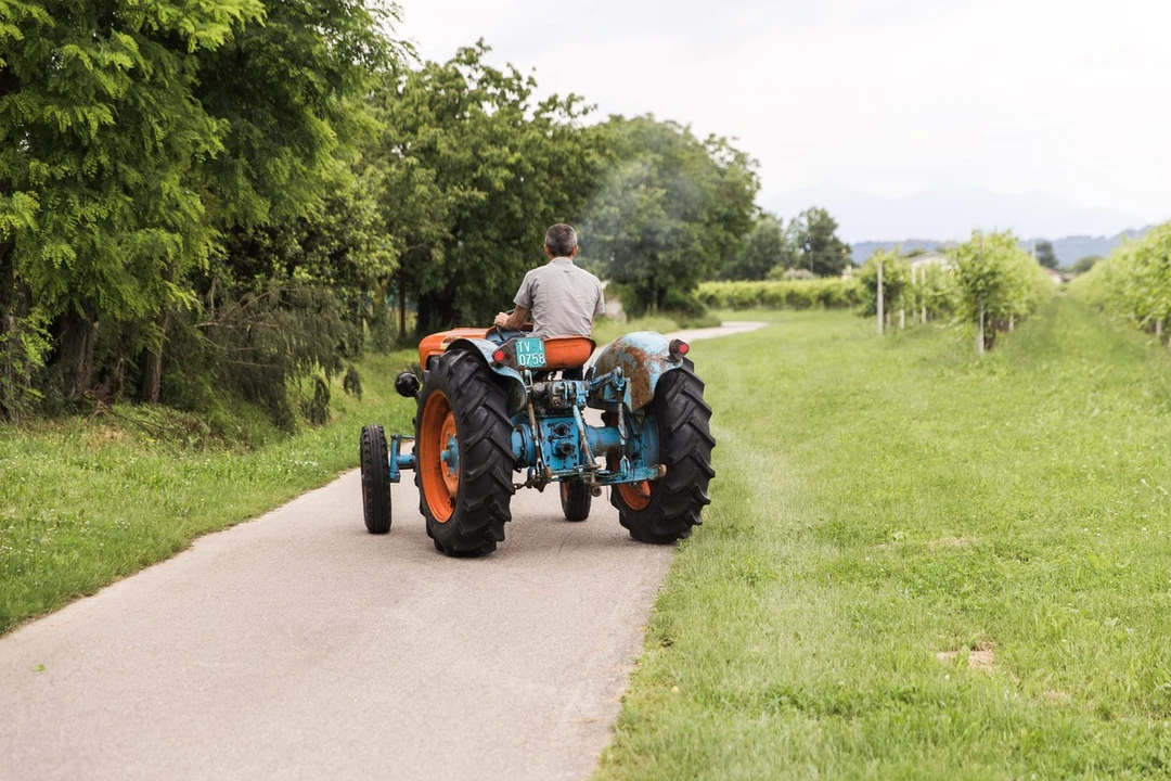 1965 Lamborghini Tractors - Image 11 of 30
