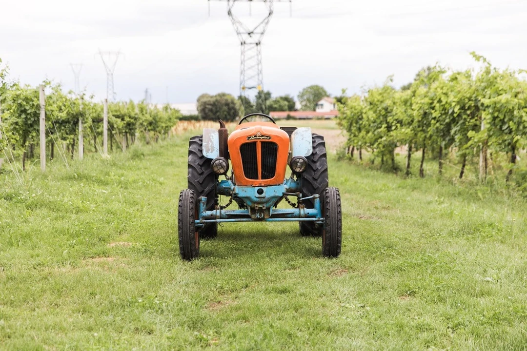 1965 Lamborghini Tractors - Image 3 of 30