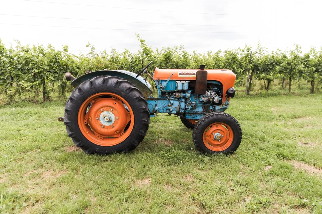 1965 Lamborghini Tractors - Image 2 of 30